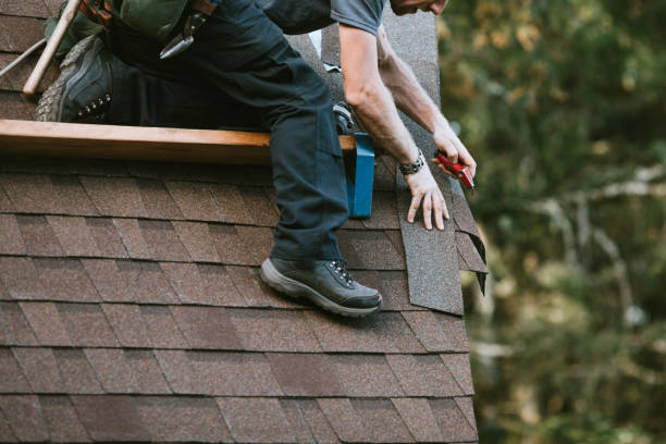 Best Roof Moss and Algae Removal  in Coldstream, KY